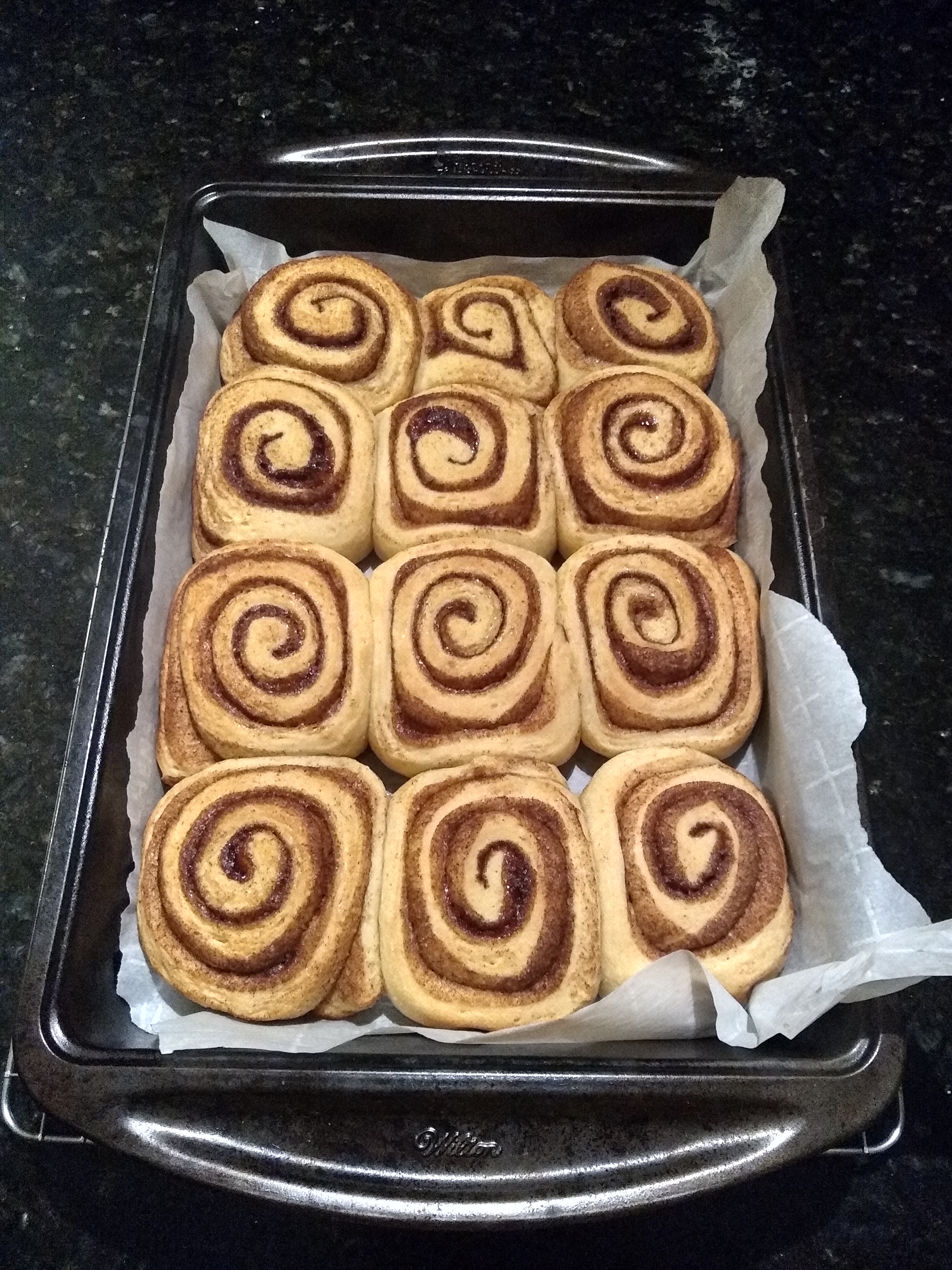 Cinnamon buns proofing in a baking tray