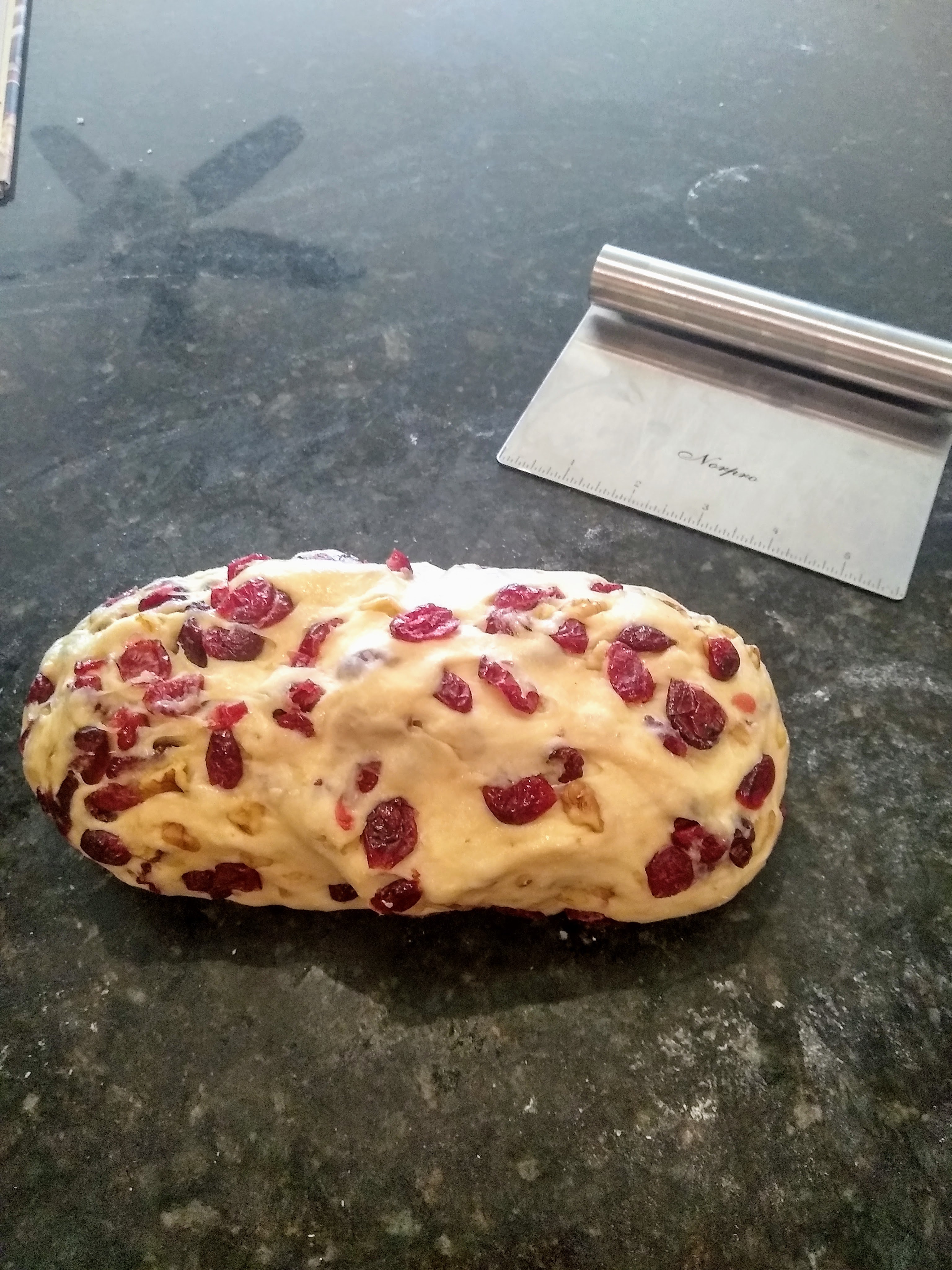 Cranberry-walnut dough, post-proofing