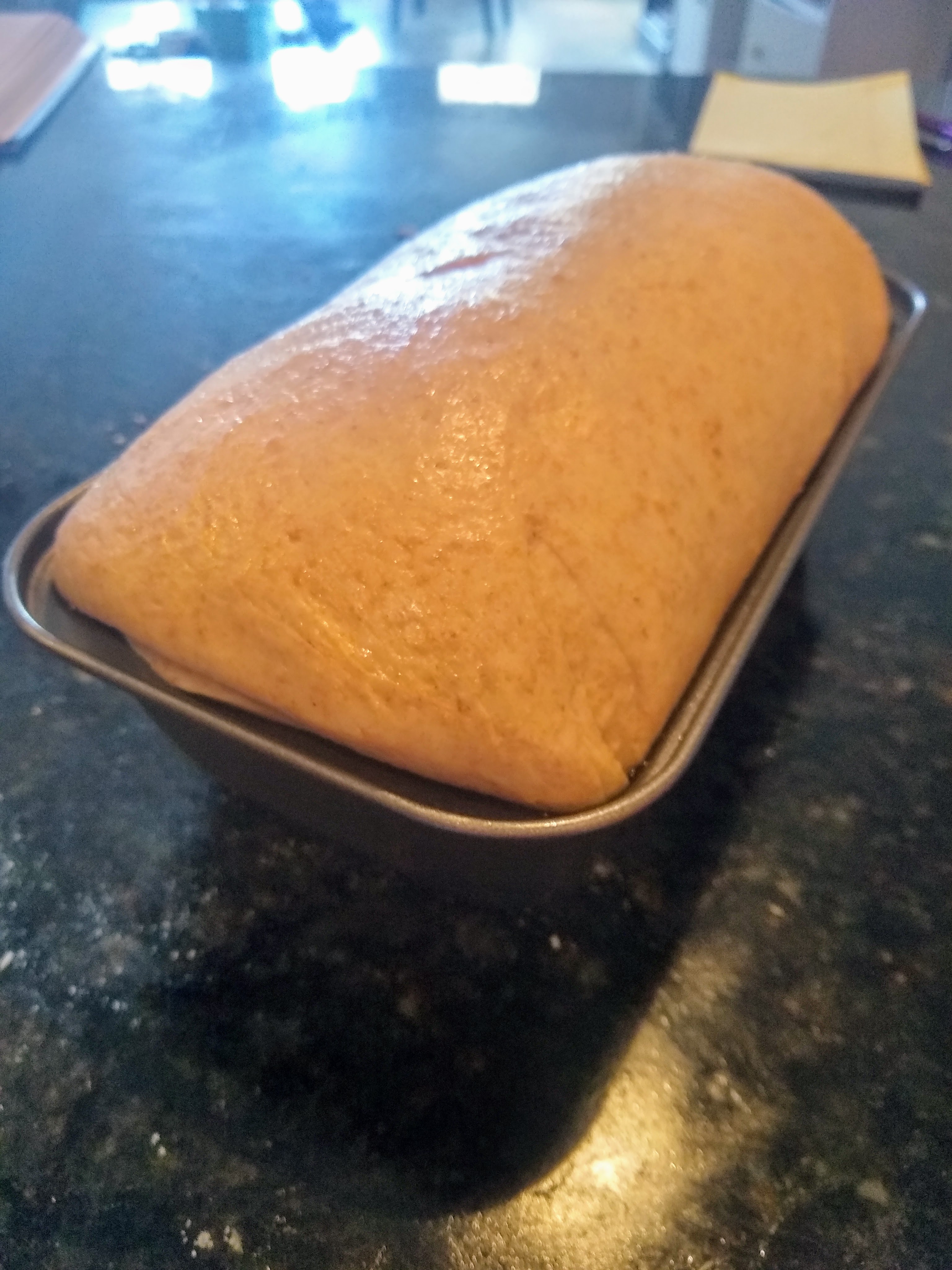 Light wheat bread after proofing