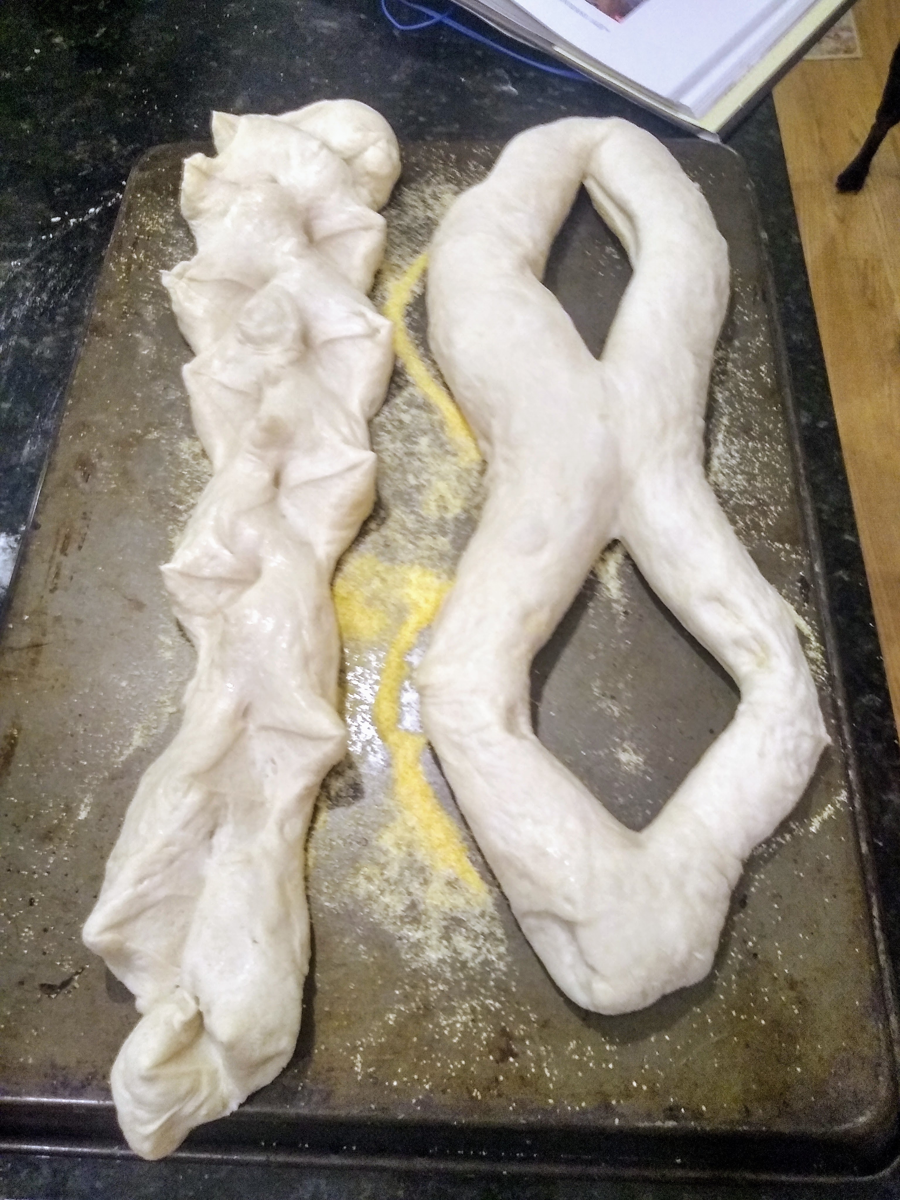 The Epi and Fougasse, pre-baking.