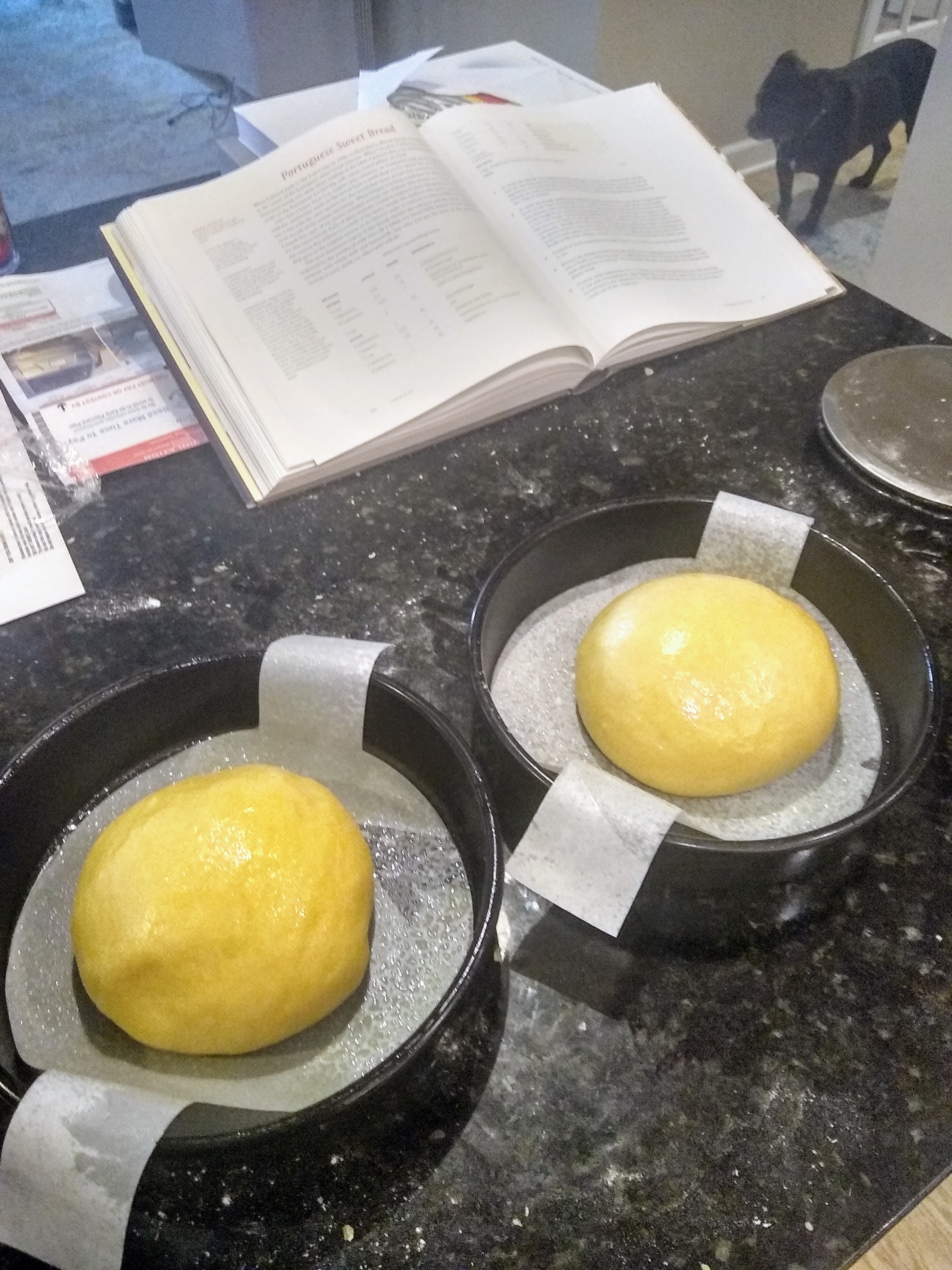 Two balls of dough in pans