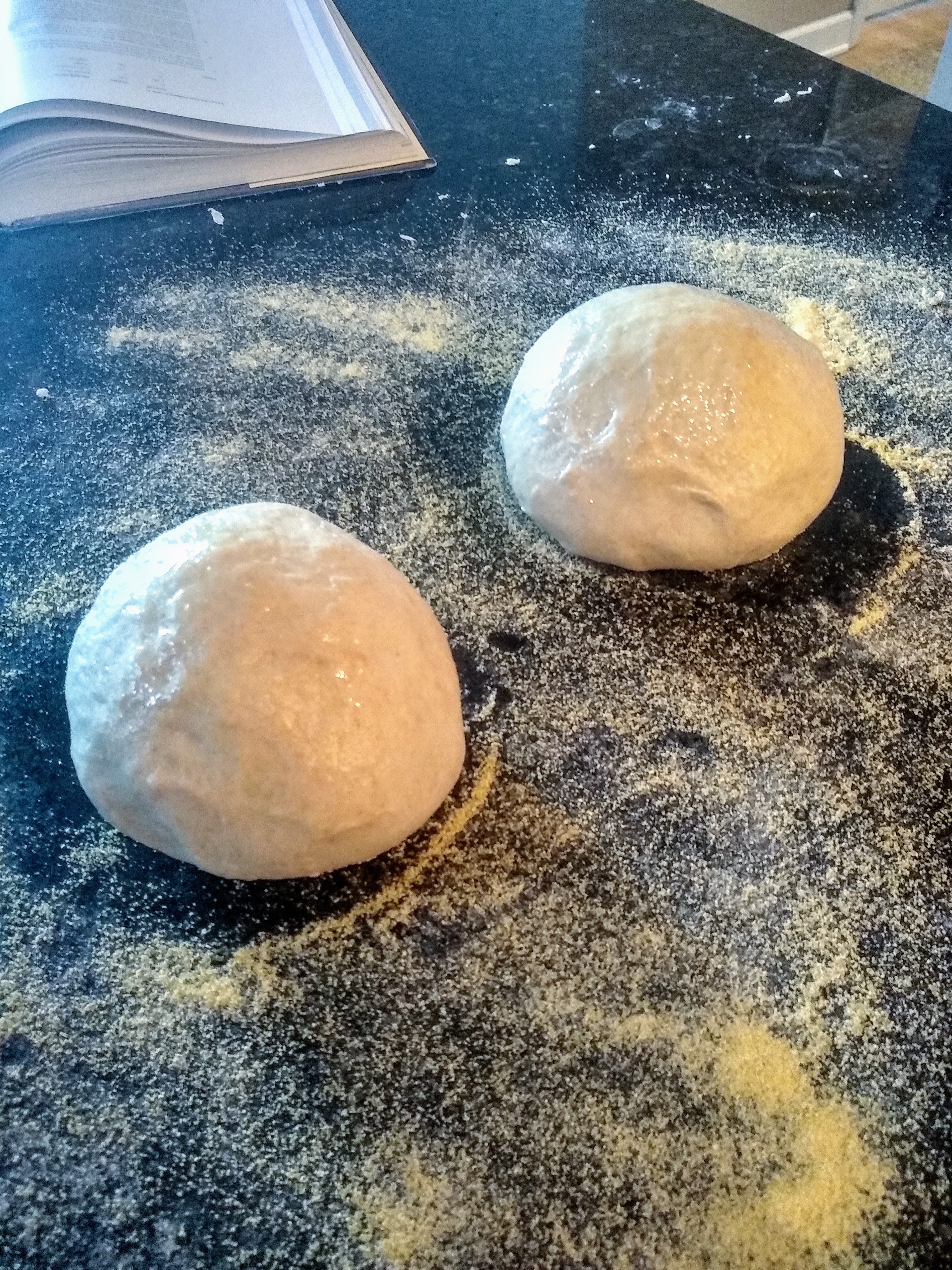 Two boules of Tuscan bread dough.