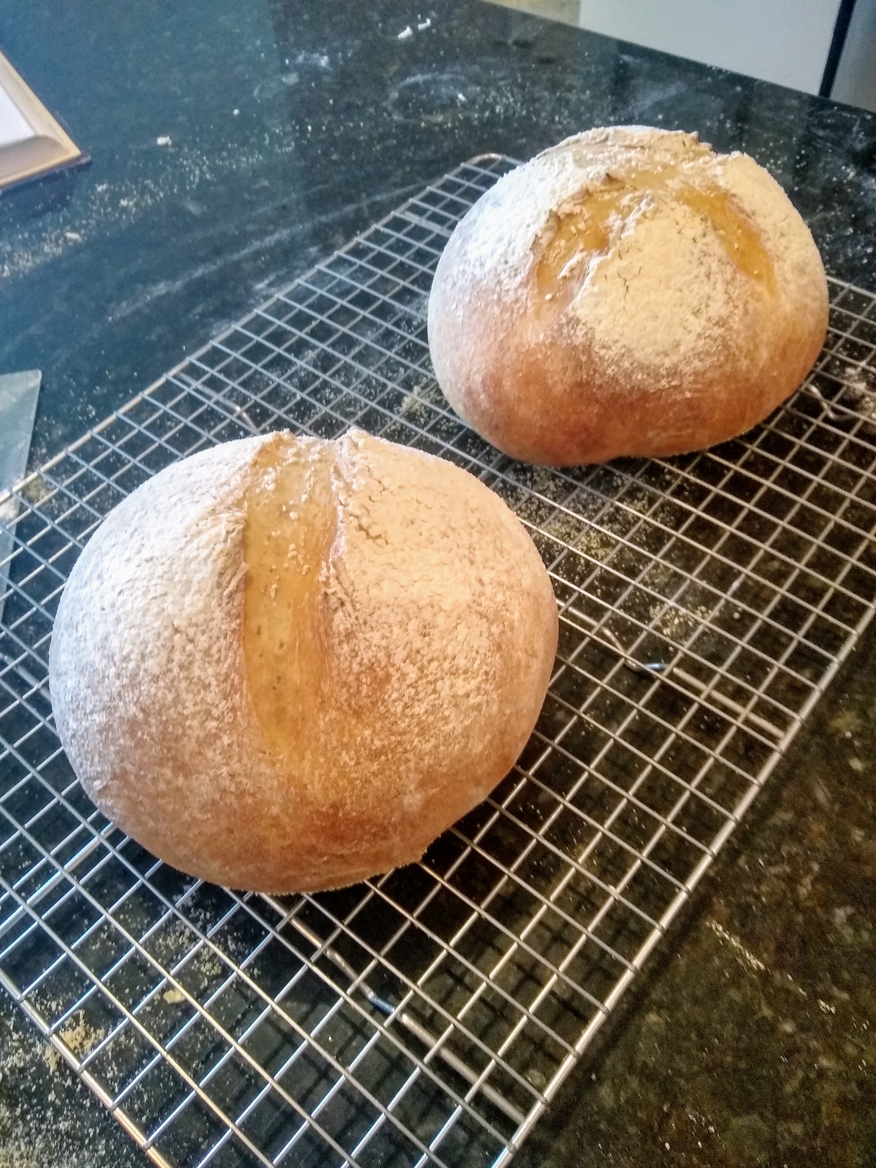 Finished loaves of Tuscan bread.