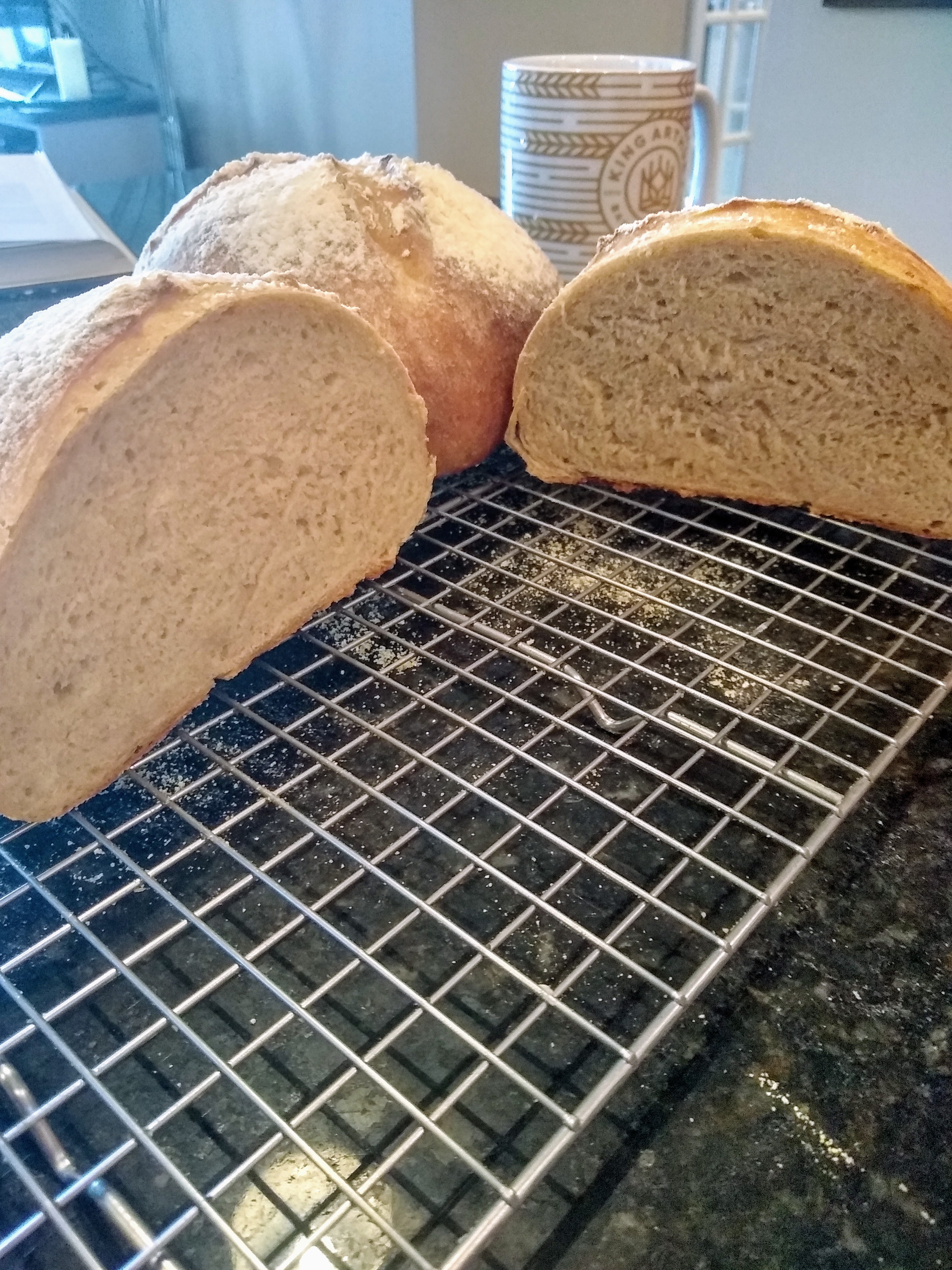 Crumb of Tuscan bread.