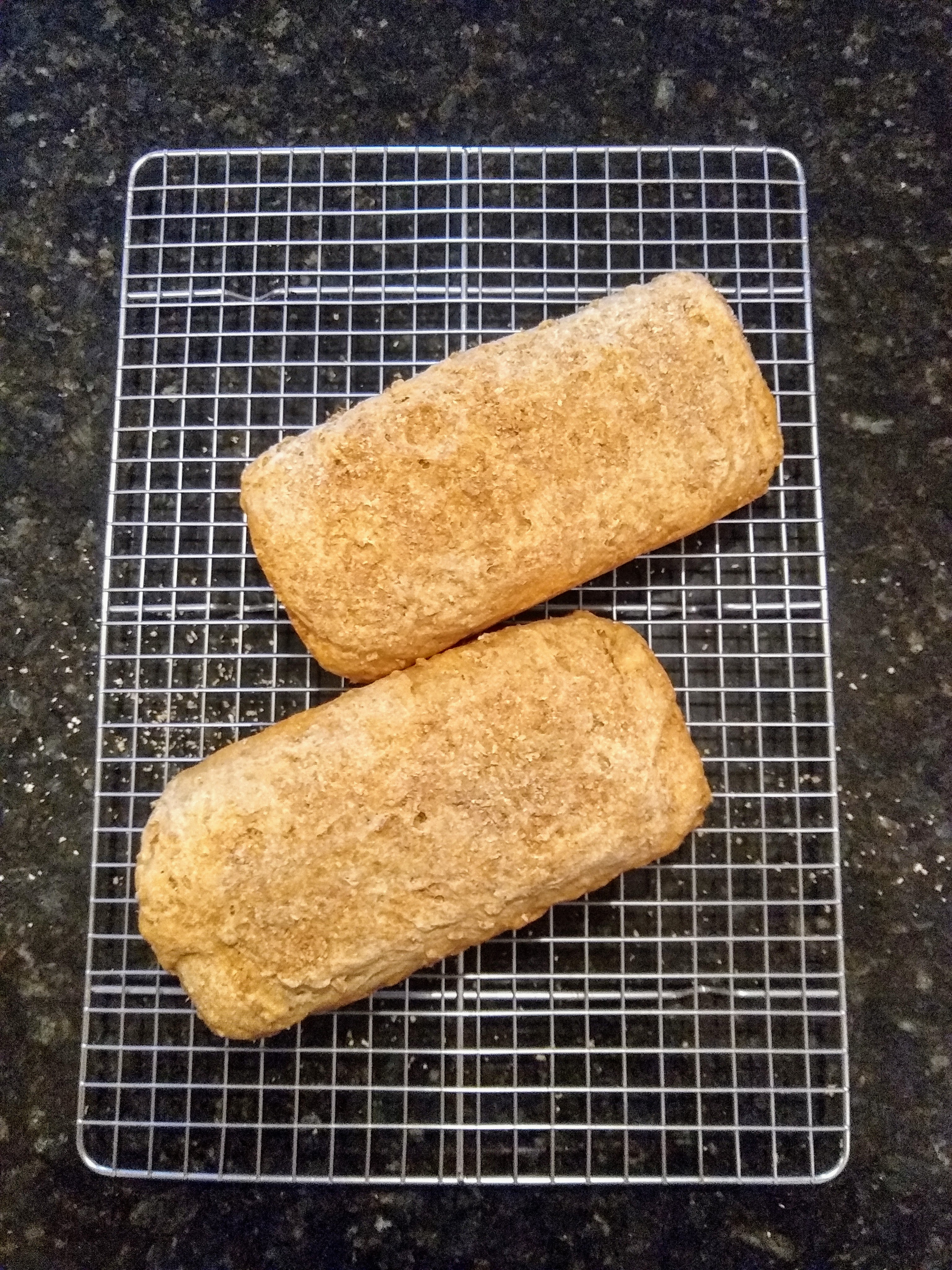Loaves of sprouted wheat and brown rice bread.