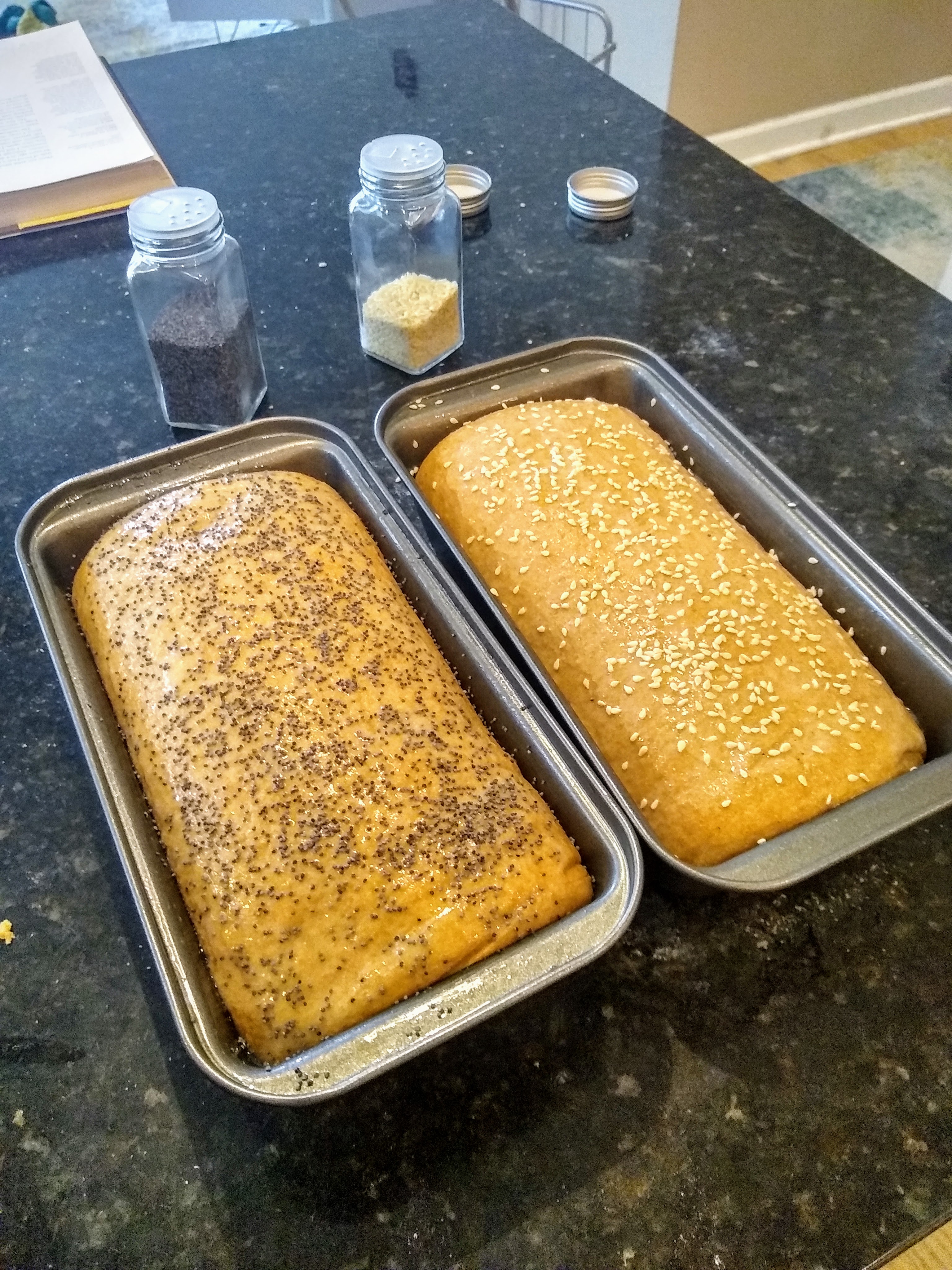Proofed loaves of whole wheat bread.